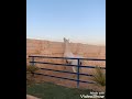 حالة غريب مخلصله في وعودي 