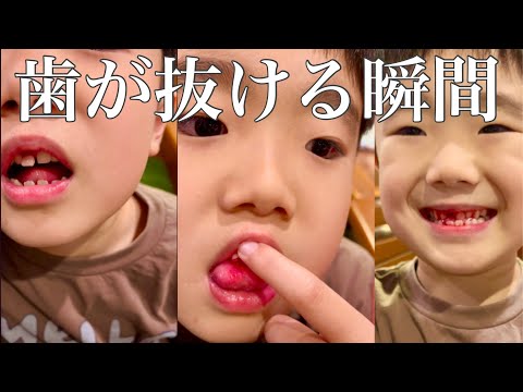 おーいじゅたろう君とじょうたろうくんのファミリーチャンネル