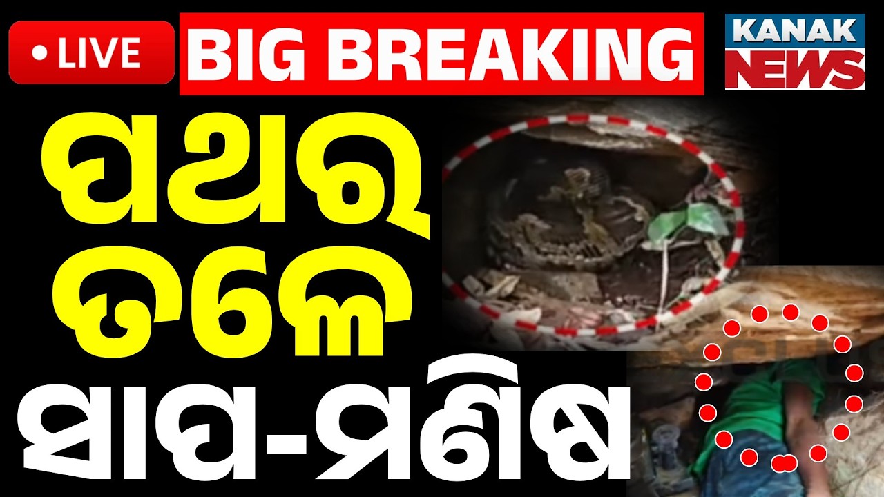 🔴Big Breaking | ପଥର ତଳେ ସାପ-ମଣିଷ | Youth Trapped in Kanipada Forest for 10 Hours | Rescue Ops