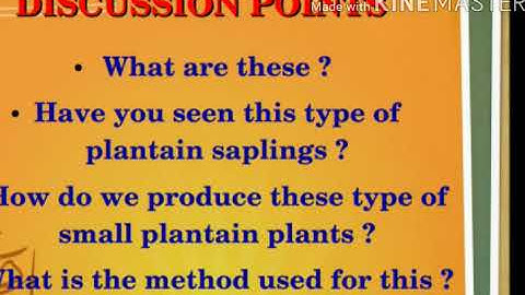 STD 7 Basic science | Reaping Gold From Soil | Hybridisation