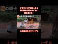 ソロキャンプに行ったら猫の親子が僕のサイトに住み着いた。【保護猫】 #保護猫 #猫好き #三毛猫 #キャンプ