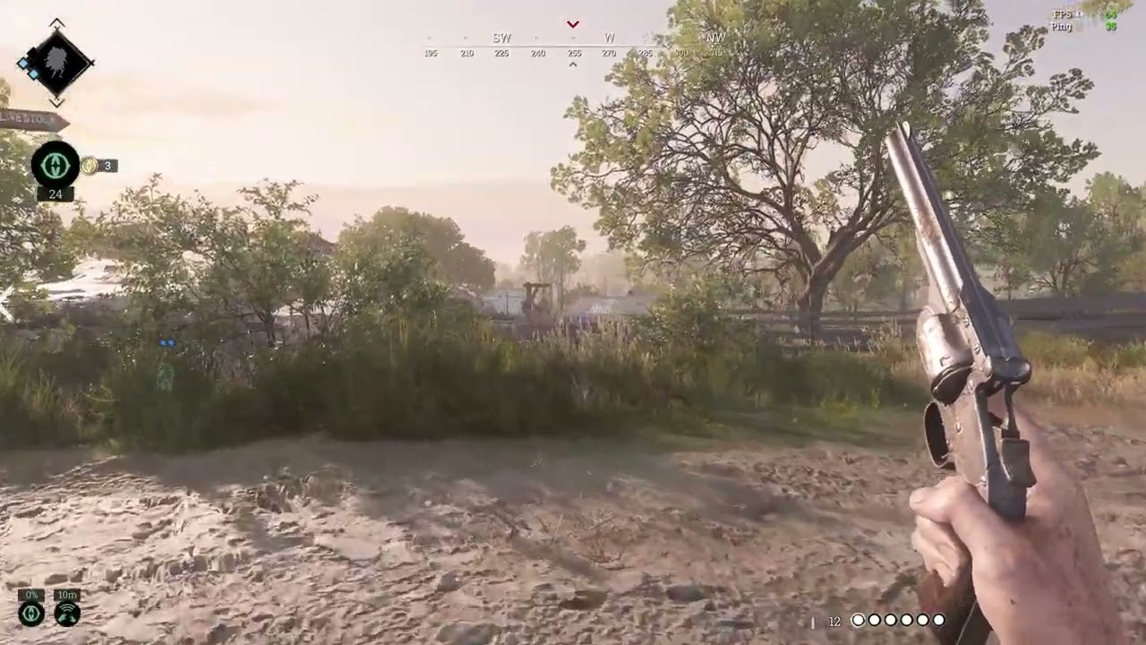 Hunt Showdown Lucky Head Shot.