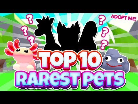 TOP 10 Rarest Pets in Adopt Me 2021 (Roblox)