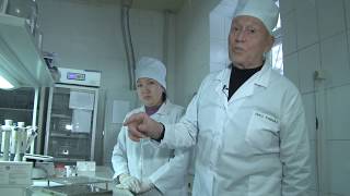 КазНИВИ. Методы исследования на бруцеллез и сальмонеллез молока животных. КазНИВИ. Методы исследования на бруцеллез и сальмонеллез молока животных.