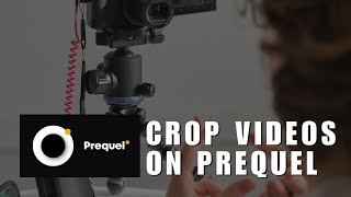 ~ Curious About Video Cropping on Prequel? Watch This Tutorial Now! 🔍🎥 screenshot 4
