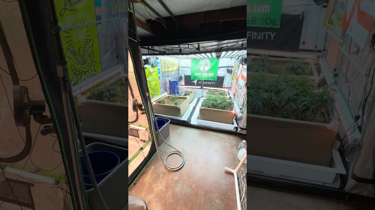 Боковое освещение и подсветка под навесом