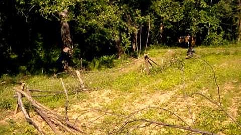 Immediate action drill