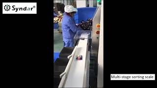Product measurement multi-stage sorting scale