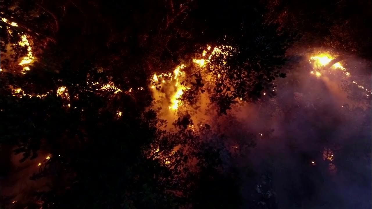 Ночью был сильный. Ночь огня | Fire Night. Смог в лесу. Дрон в бедствиях. Небо Нью-Йорка окутано дымом, вызванным лесными пожарами в Канаде.
