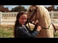 Princess And The Pony By Eic
