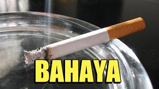 Download Lagu 🔴RESIKO BAHAYA MEROKOK BAGI KESEHATAN -  HIDUP SEHAT MP3