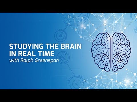 video phone beyonce mp3 Studying the Brain in Real Time with Ralph Greenspan - On Our Mind