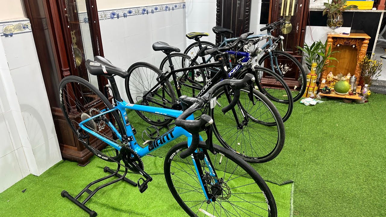 9/3 QUA LỄ LÊN CHO ANH CHỊ 4  giá tốt GIANT DEFY. TREK 7.4 . TNI. GIOS. LH ZALO 0397.126.827.  PHONG
