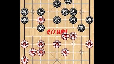 Trùng Khánh | Hứa Văn Học - Xu Wenxue VS Liu Dahua - Liễu Đại Hoa | Hồ Bắc | 许文学 VS 柳大华