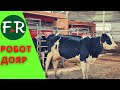 Роботизированная молочная семейная ферма Ленара Латыпова. Что даёт робот-дояр, как он работает?