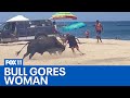 Bull attacks woman on mexican beach near cabo san lucas