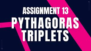 Pythagoras Triplets | Assignment 13 | Nxtwave ccbp 4.0 telugu | Python coding tips tricks | Python