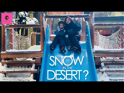 Snow in a Desert? Ski Dubai| Travel vlog| Fun Times| Penguins in Dubai