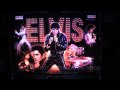 Stern Elvis Pinball W Cointaker LEDs