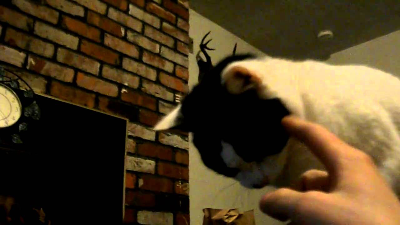 testing out my new figrig