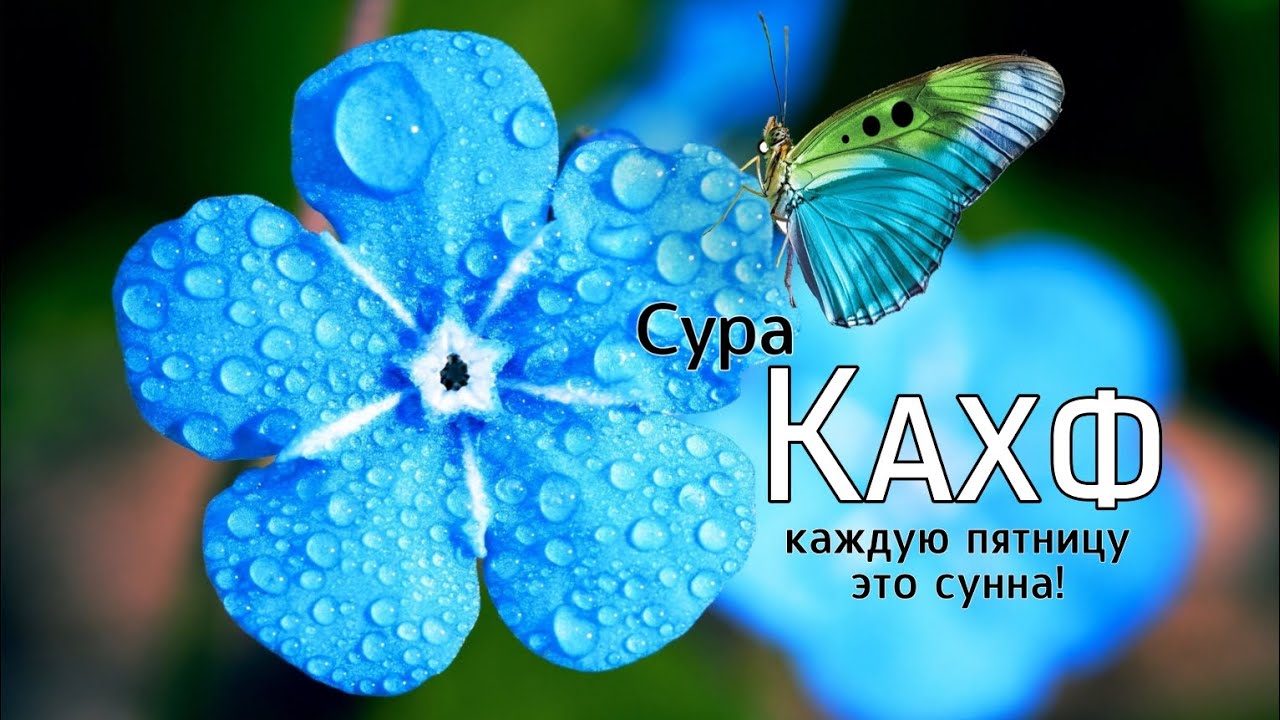 Сура Кахф سورة الكهف каждую пятницу это Сунна слушайте обязательно прямо