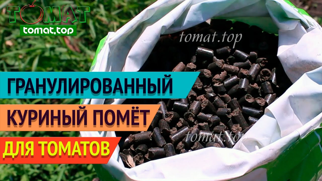 Удобрение для томатов. Гранулированный куриный помёт. Опыт ...