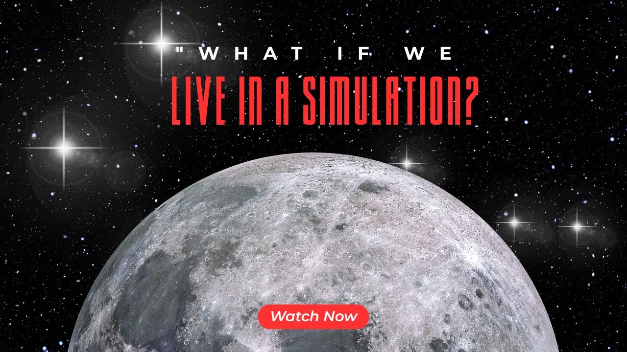 What If We Live in a Simulation
