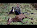 Hunting Red Stags In New Zealand - Long Range Shot On Stag - Plus Rusa Footage