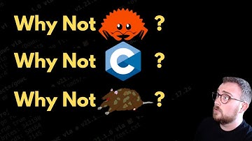 Why Zig over Rust, C, C++, Odin, Nim, etc?