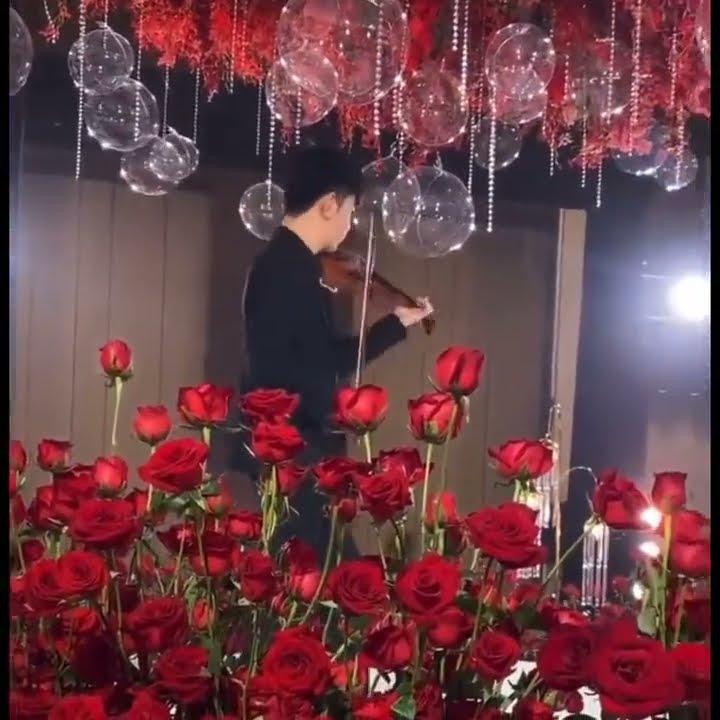 ZHANG HAO WITH ROSES PLAYING 告白之夜—Ayasa绚沙 THE REASON WHY VIOLIN #ZHANGHAO #ZB1 #KPOP #BOYSPLANET
