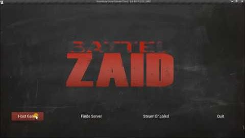 TEAM MULTIPLAYER HOST