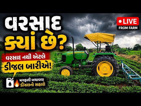વરસાદ ક્યાં છે? 🌧️ વરસાદ નથી એટલે ડીઝલ બાળીએ! | મગફળીના ખેતરમાં LIVE 🚜