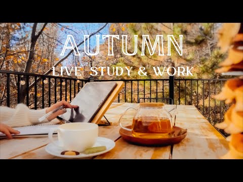 ???? Deep Focus Lofi Hip Hop Radio in a cozy afternoon | Study+Work+Relax [LIVE 24/7]