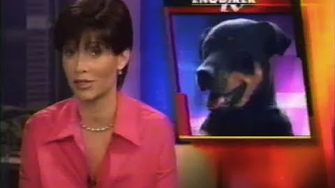 National Enquirer TV profile of dog bite Attorney ...