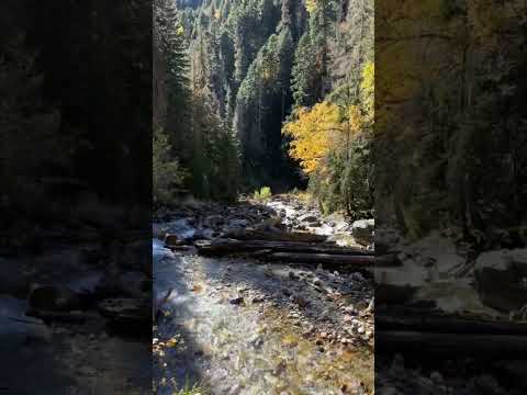 Video: Teberda River - ominaisuuksia