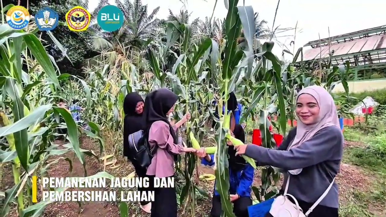 Kelompok 7 Praktikum Kesehatan dan Kesuburan Tanah