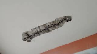 “Técnica profesional para reparar losas averiadas (sin demoler)”