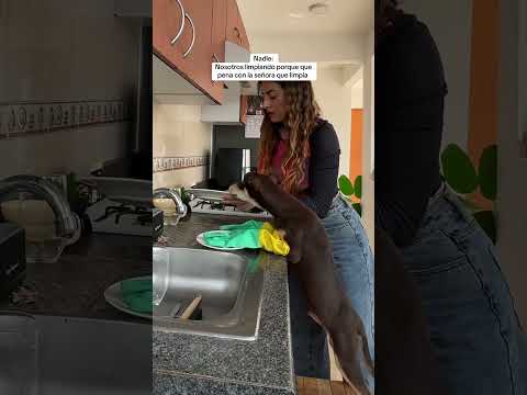 TODO MENOS COCHINOS 🤣