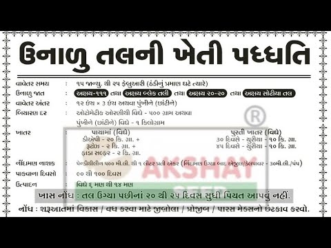 આજની કૃષિ માહીતી-ઉનાળું તલ ની વૈજ્ઞાનીક ખેતી પદ્ધતી-unadu tal ni kheti-til ki kheti-krushi mahiti