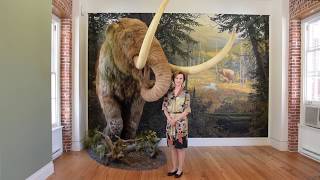 Tourist in Your Own Town #56 - Staten Island Museum - Snug Harbor