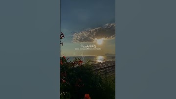 "وَمَا يَسْتَوِي الْأَعْمَىٰ وَالْبَصِيرُ (19) وَلَا الظُّلُمَاتُ وَلَا النُّورُ (20)". سورة فاطر