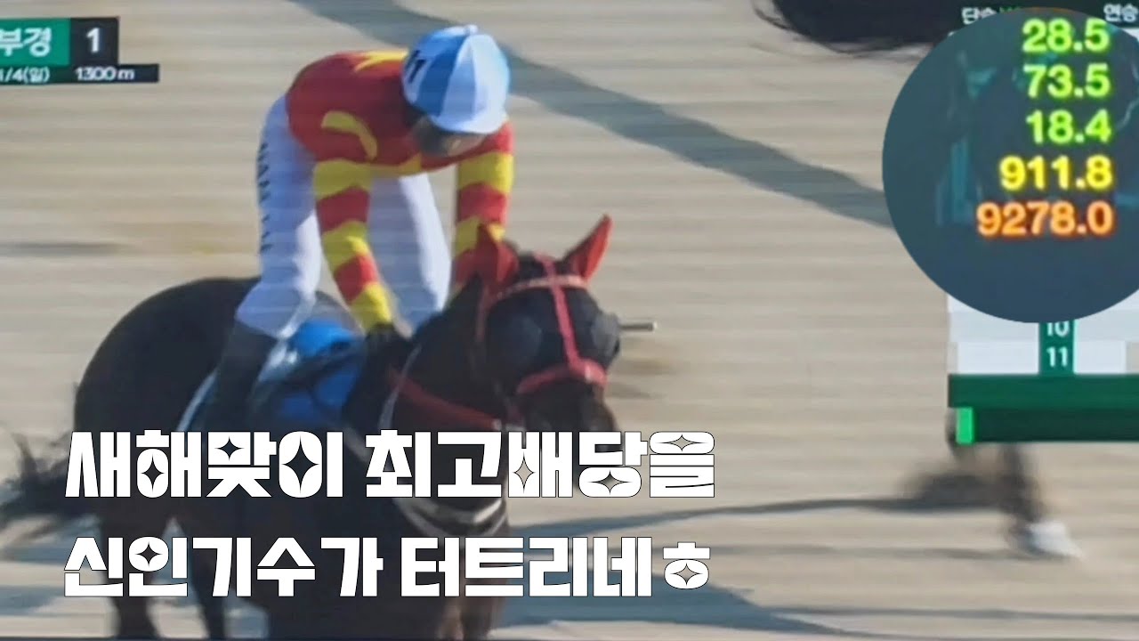 새해경마 첫 고배당은 신인기수가 터트리네?(기똥찬 추입승)