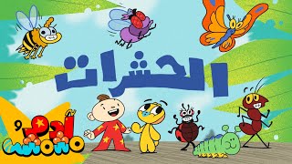 Adam Wa Mishmish - Insects (Kids Songs) | (أغاني أطفال) آدم ومشمش - الحشرات