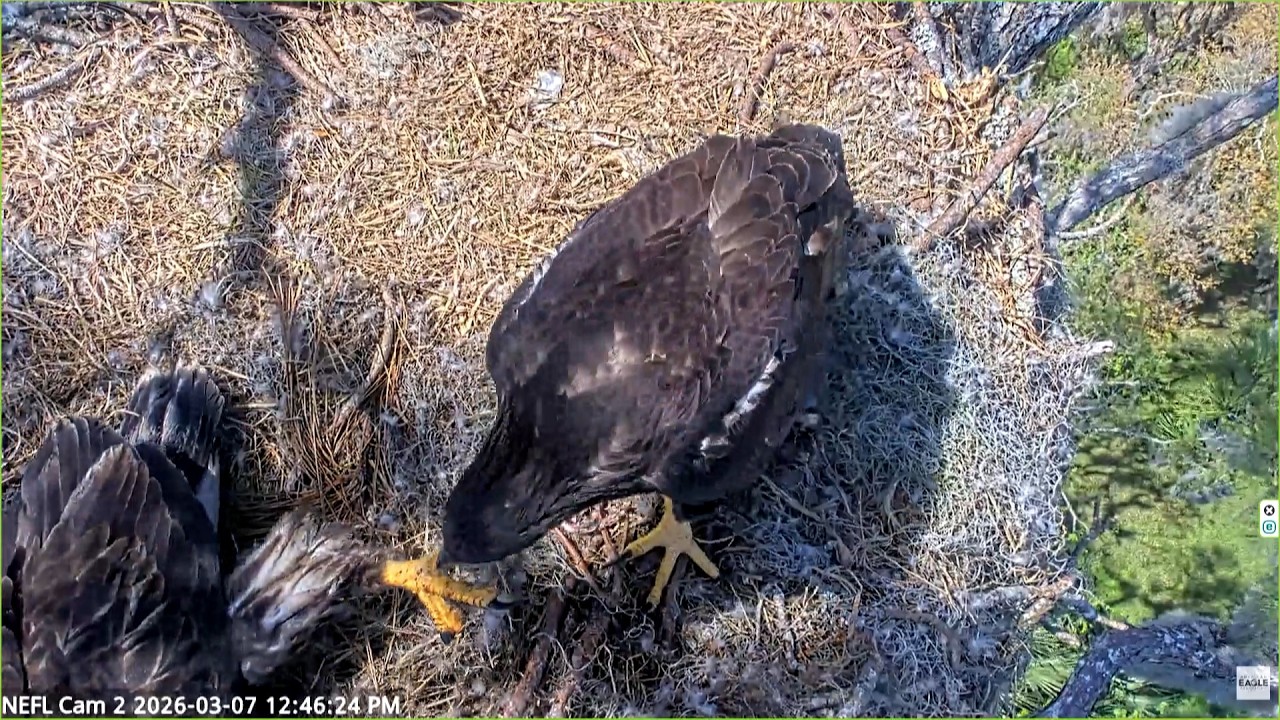 2026.03.07 NEFL　ねえねえ起きて！