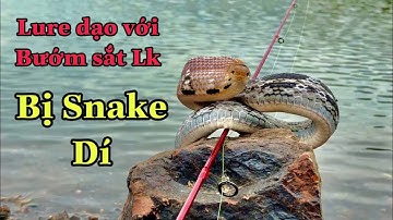 Lure Dạo Với Bướm Sắt Lk, Bị Snake dí