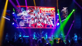 Download Super Lamas En Xalos Night Club - Presentación Video MP3 Super Lamas En Xalos Night Club - Presentación