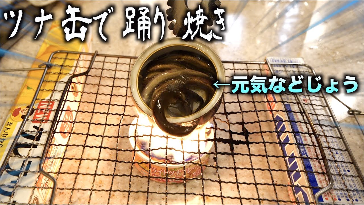 おうちbbq ツナ缶を使ったドジョウの卵とじがめっちゃ美味い Youtube