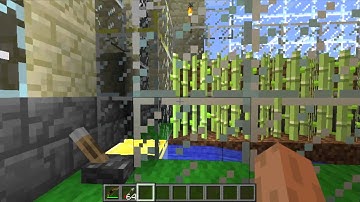 Better Than Wolves Overview (Part 1)