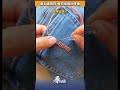 衣服划破別扔，教你縫幾針修補，實用省錢！#竅門 #針線活 #縫補 #技巧 #手藝 来源@妙妙爱手工