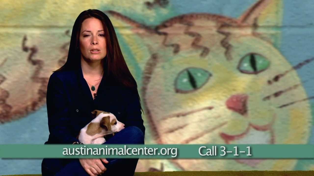 Austin Animal Center Summer of Love Campaign with Actress Holly Combs